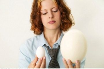 Ăn trứng ngỗng khi mang thai, có tốt hơn trứng gà?