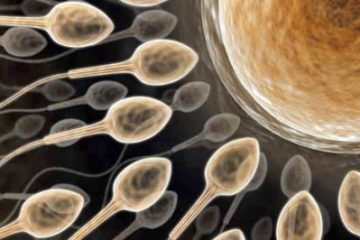 Có thể tạo tinh trùng cho đàn ông vô sinh?
