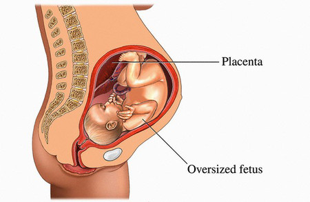 tim-thai-va-nhung-bat-thuong-me-bau-nen-biet